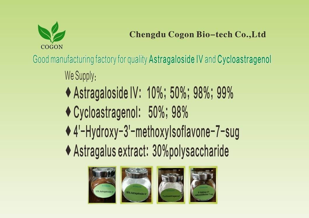 Jako Pb Hg 0,5 Ppm Astragalus Ekstrakt z korzenia telomeraza Biały proszek
