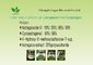 Cd 0,1 ppm preparatu Astragalus Membranaceus 10% Astragaloside IV 1,6% Cycloastragenol